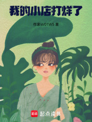 我的小店打烊了在线阅读