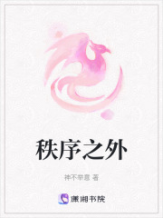 秩序之外在线阅读