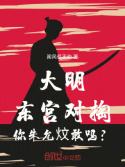 大明：东宫对掏，你朱允炆敢吗？在线阅读