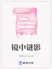镜中谜影在线阅读