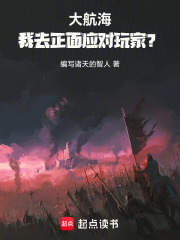 大航海：我去正面应对玩家？在线阅读