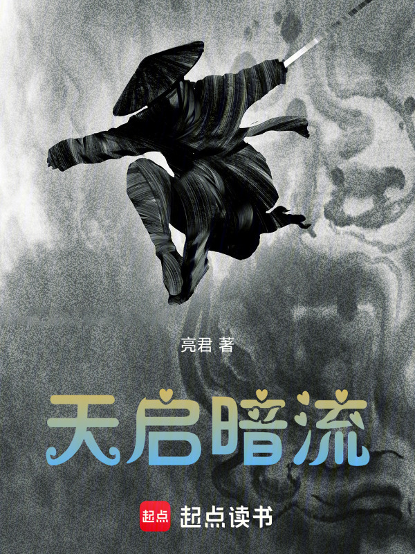 天启暗流在线阅读