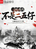 三国，我真不是二五仔！封面