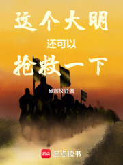 这个大明还可以抢救一下在线阅读