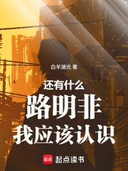 还有什么路明非我应该认识在线阅读