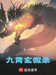 九霄玄微录在线阅读