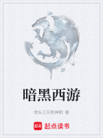 暗黑西游封面