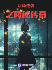 职场逆袭之网秘传奇在线阅读