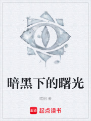 暗黑下的曙光在线阅读