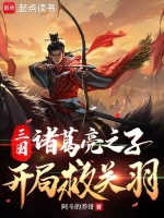 三国：诸葛亮之子，开局救关羽封面
