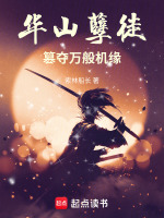 华山孽徒：篡夺万般机缘封面