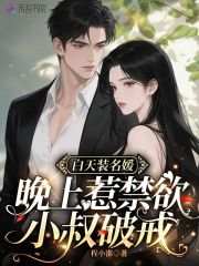 白天装名媛，晚上惹禁欲小叔破戒在线阅读
