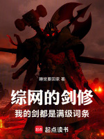综网的剑修：我的剑都是满级词条封面
