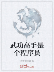 武功高手是个程序员