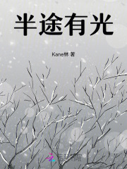 半途有光