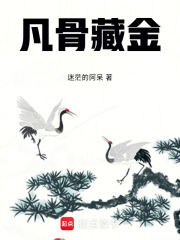 凡骨藏金在线阅读