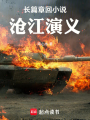 长篇章回小说：沧江演义