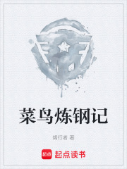 菜鸟炼钢记在线阅读