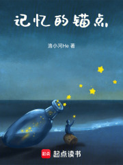 记忆的锚点在线阅读