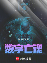 数字亡魂在线阅读