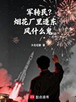 军转民？烟花厂里造东风什么鬼封面