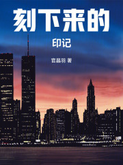 刻下来的印记在线阅读