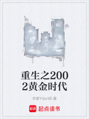重生之2002黄金时代