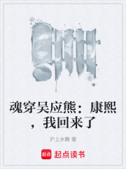 魂穿吴应熊：康熙，我回来了在线阅读