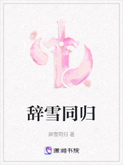 辞雪同归在线阅读