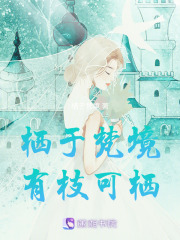 栖于梵境在线阅读