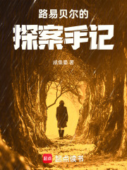 路易贝尔的探案手记在线阅读