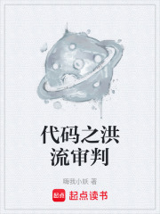代码之洪流审判在线阅读