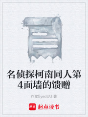 名侦探柯南同人第4面墙的馈赠在线阅读