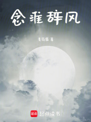 念淮辞风在线阅读