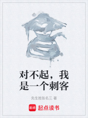 对不起，我是一个刺客在线阅读