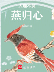 大理不负燕归心在线阅读
