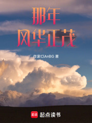 那年风华正茂在线阅读