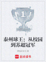 泰州球王：从校园到苏超冠军在线阅读