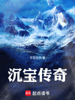 沉宝传奇最新章节在线阅读
