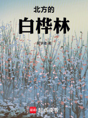 北方的白桦林在线阅读
