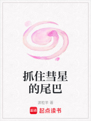 抓住彗星的尾巴在线阅读