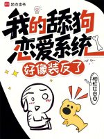 我的舔狗恋爱系统好像装反了封面