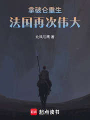 拿破仑重生：法国再次伟大在线阅读