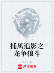 捕风追影之龙争狼斗在线阅读