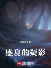 盛夏的疑影在线阅读