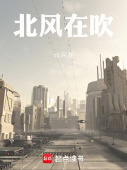 北风在吹在线阅读