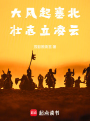 大风起塞北，壮志立凌云在线阅读