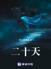 二十天