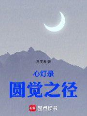 心灯录：圆觉之径在线阅读