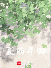 夏的寻回在线阅读